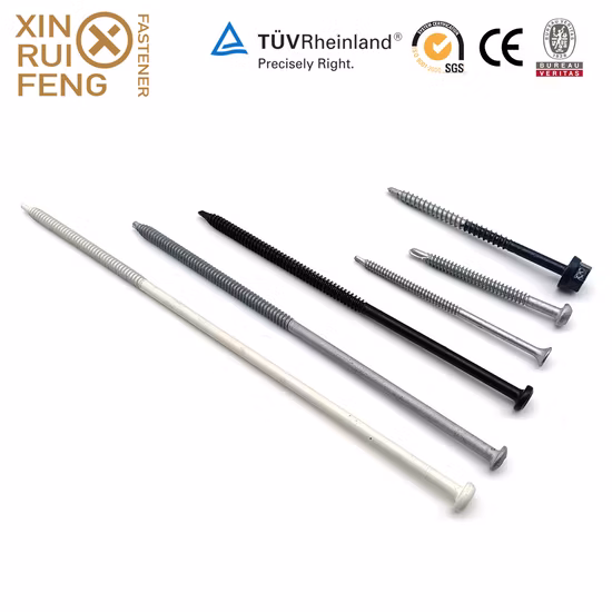 Duplex 2205 Fasteners Torx Pan Head Self Drilling Screw Anti-Theft Roofing Screw Tamper Proof Machine Screw Torx Tek Screws