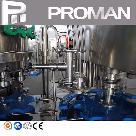 12 Nozzles Rotary Small Can Bottled Sea Salt Powder Filling Machine